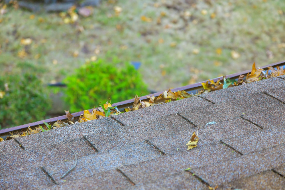 Leaves clogged gutters and worn roof in Fairview Heights, IL